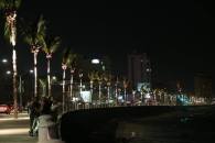 SECTUR photo of the lit palm trees on the malecón of Mazatlán