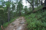 One of the hiking or jeep trails